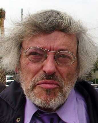 Chersicla Bruno